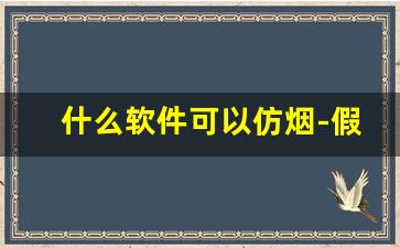 什么软件可以仿烟-假烟制作所有程序