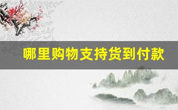 哪里购物支持货到付款-什么商城支持货到付款
