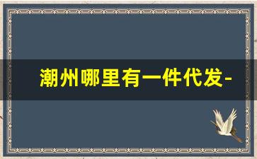 潮州哪里有一件代发-潮州市云仓一件代发