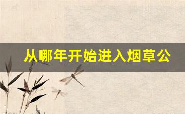 从哪年开始进入烟草公司-烟草公司还能生存多少年